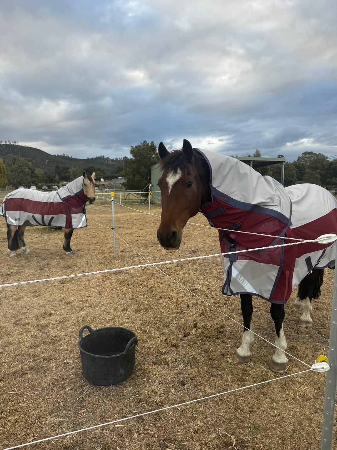 Customer photo review of LE Boxter Hybrid Mack Turnout 0g