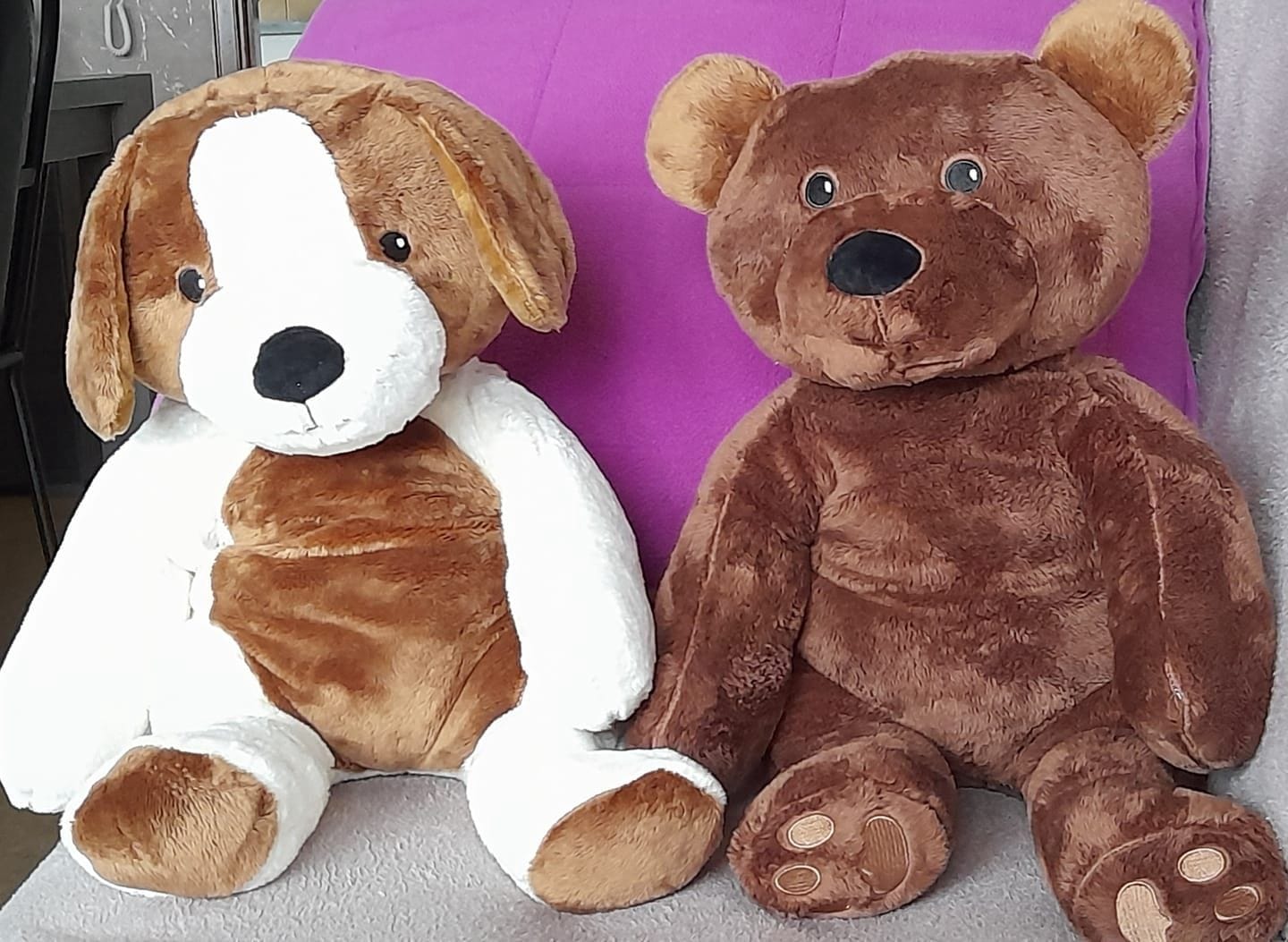 Customer photo review of Bestseller voordeelbundel - Beer en hond - Je bespaart €33