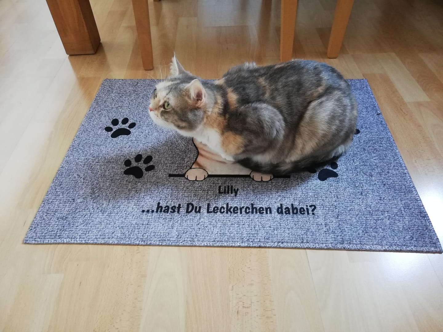 Customer photo review of Willkommen bei neugierigen Katzen - Individuelle Fußmatte