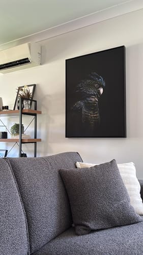 Customer photo review of Guardian Black Cockatoo - Art Print Stretched Canvas Wall Art
