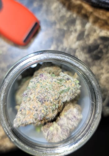 Customer photo review of Watermelon Gumdrop