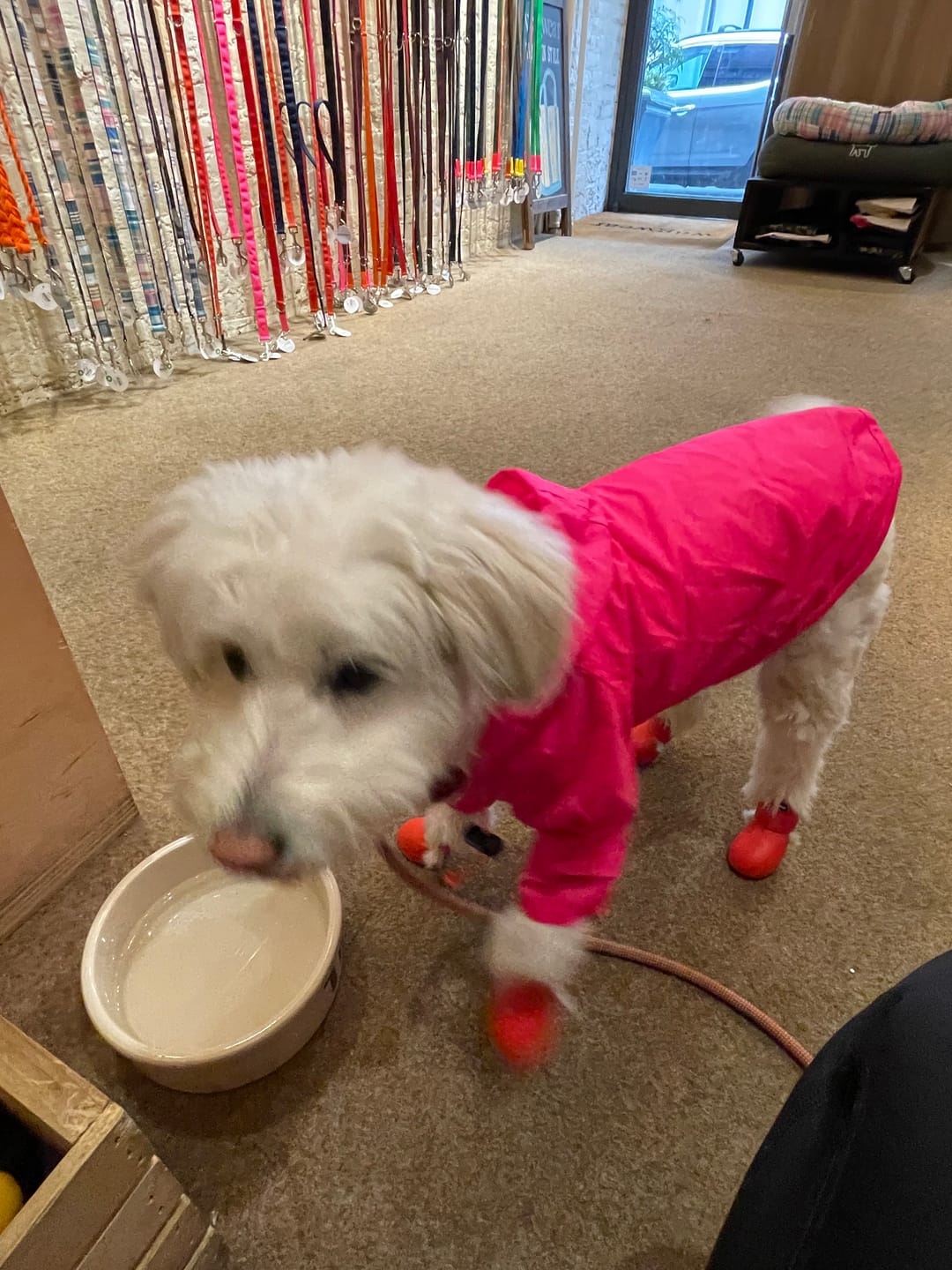 Customer photo review of Nylon Rainbreaker