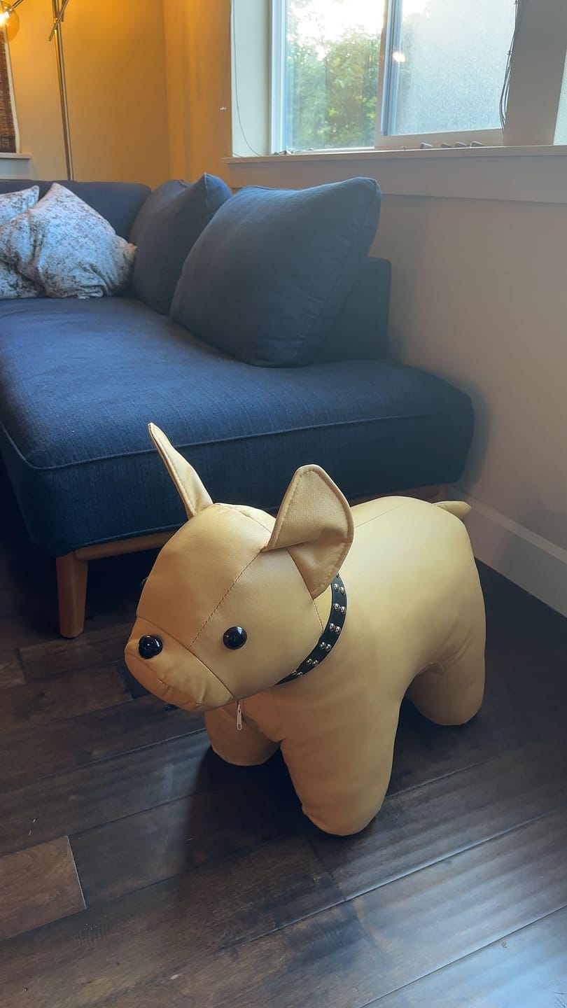 Customer photo review of Cozy Dog Accent Chair