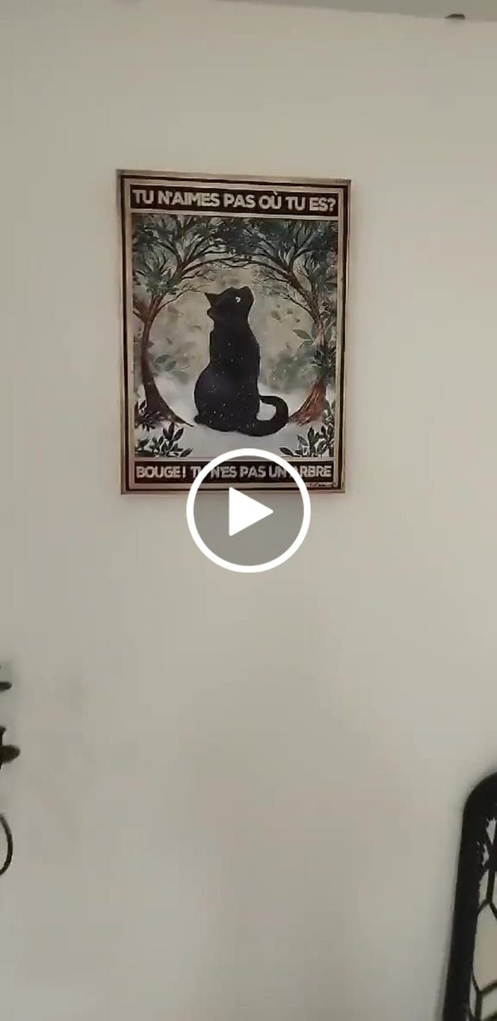 Customer video review of Pas de rétroviseurs, je vois la vie en fleurs