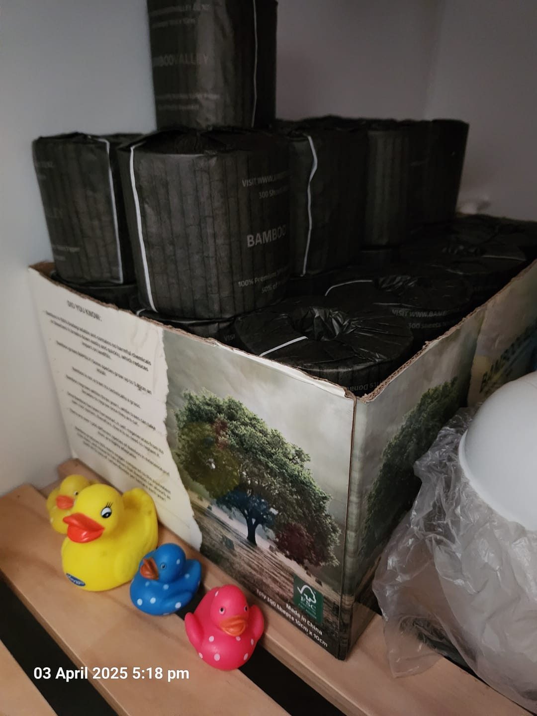 Customer photo review of Donate to planting more Trees! 24 Pack