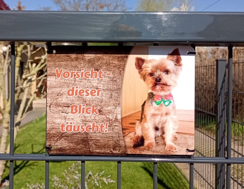 Customer photo review of Hunde-Türschild personalisiert mit Foto & Text (UV- und wetterfest)