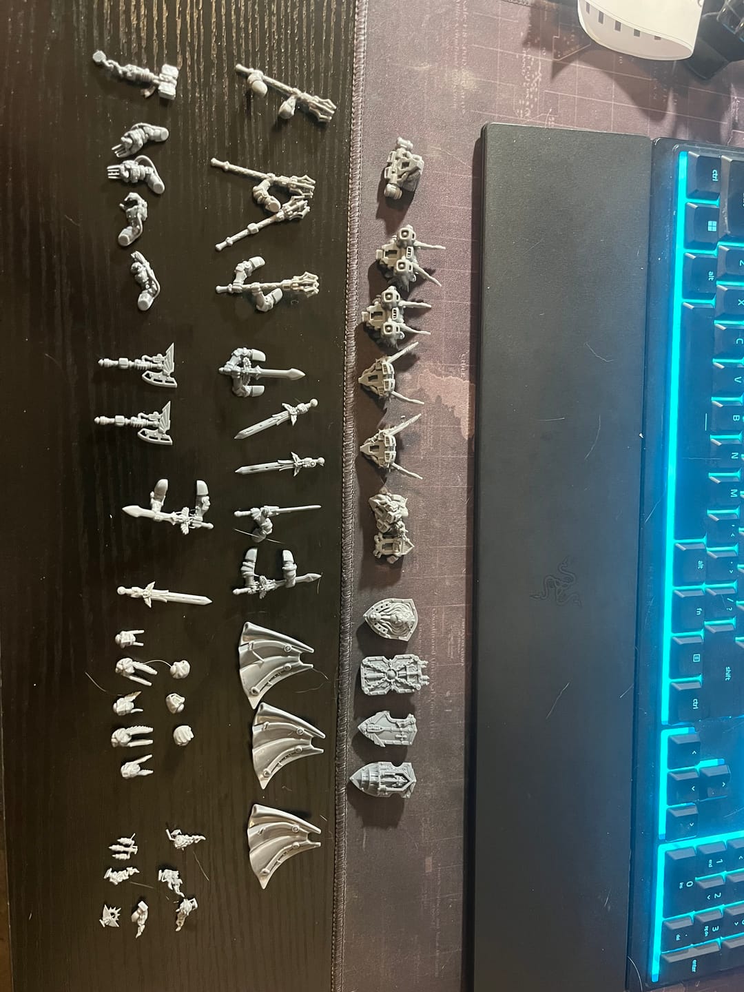 Customer photo review of Lion´s Pride space warriors upgrade kit