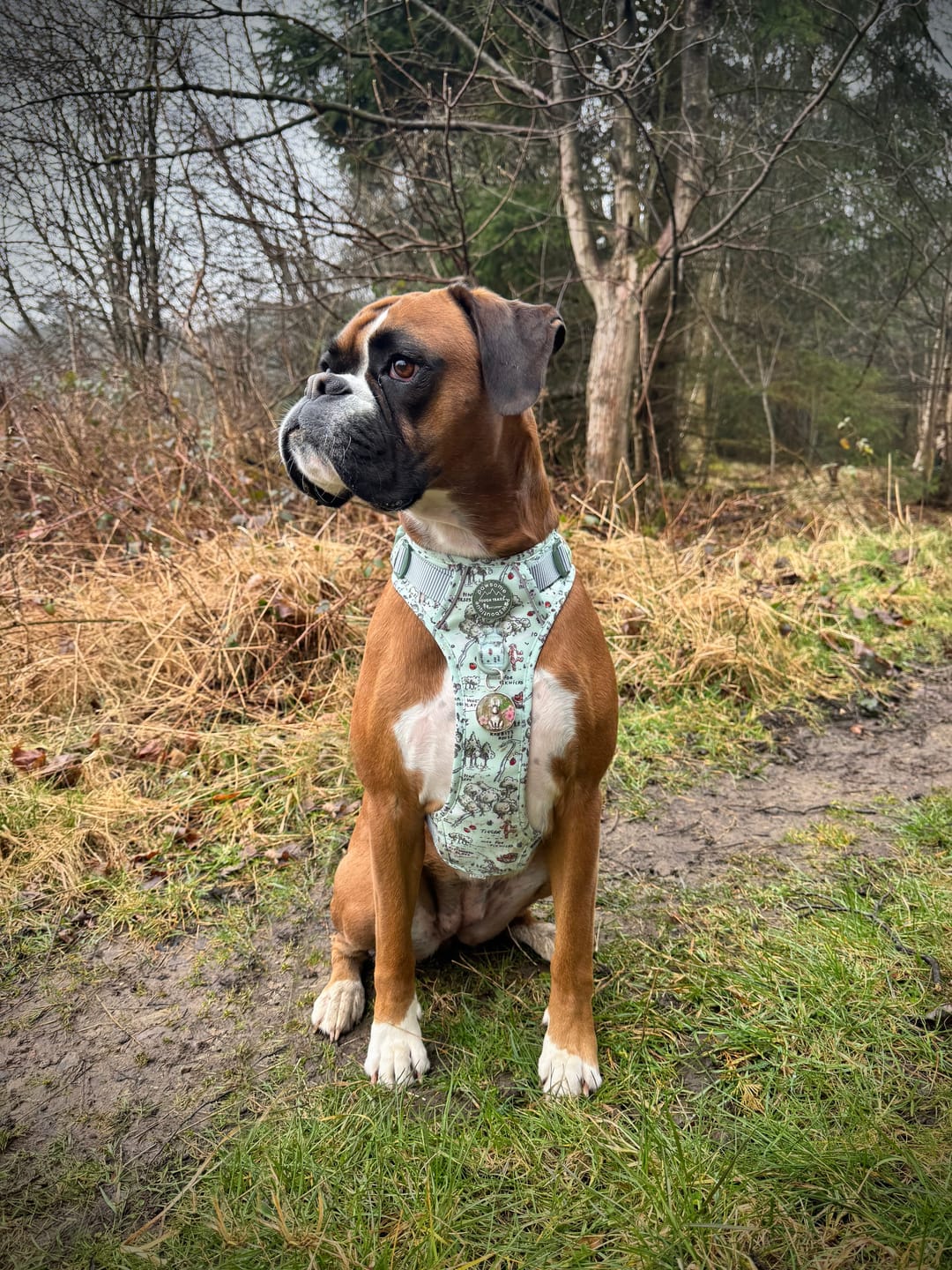 Customer photo review of Disney© Tough Trails™ Harness - 100 Aker Wood