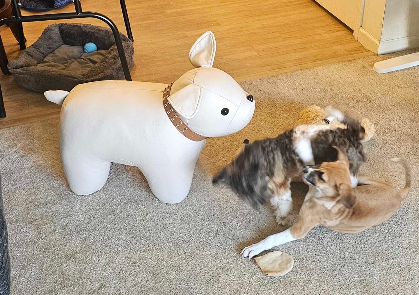 Customer photo review of Cozy Dog Accent Chair