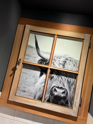 Customer photo review of Poster | Rind im Hochland | Hochformat