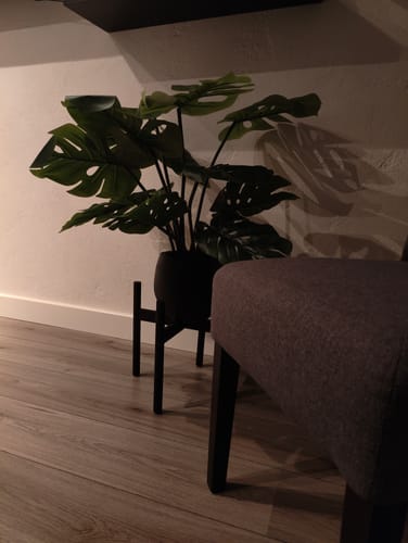 Customer photo review of Monstera Kunstplant 80cm