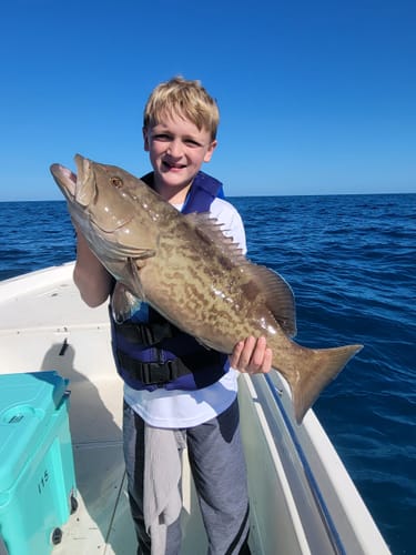 Customer photo review of Hooked 50