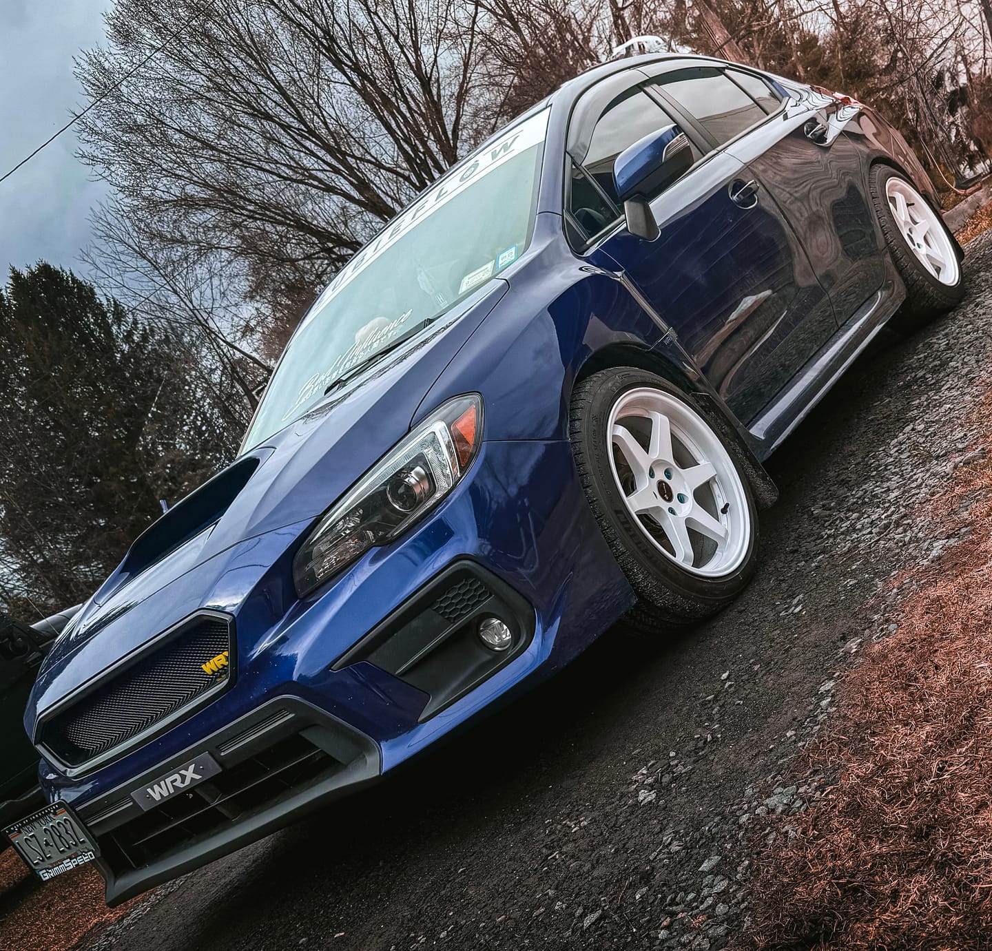 Customer photo review of Reverse Cut Windshield Banners