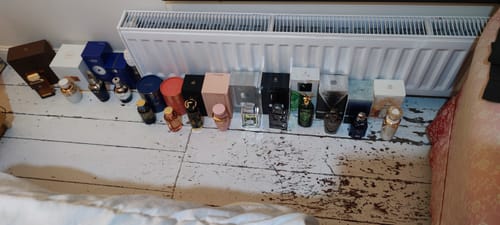 Customer photo review of Starlight