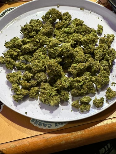 Customer photo review of Super Lemon Haze THCA Flower