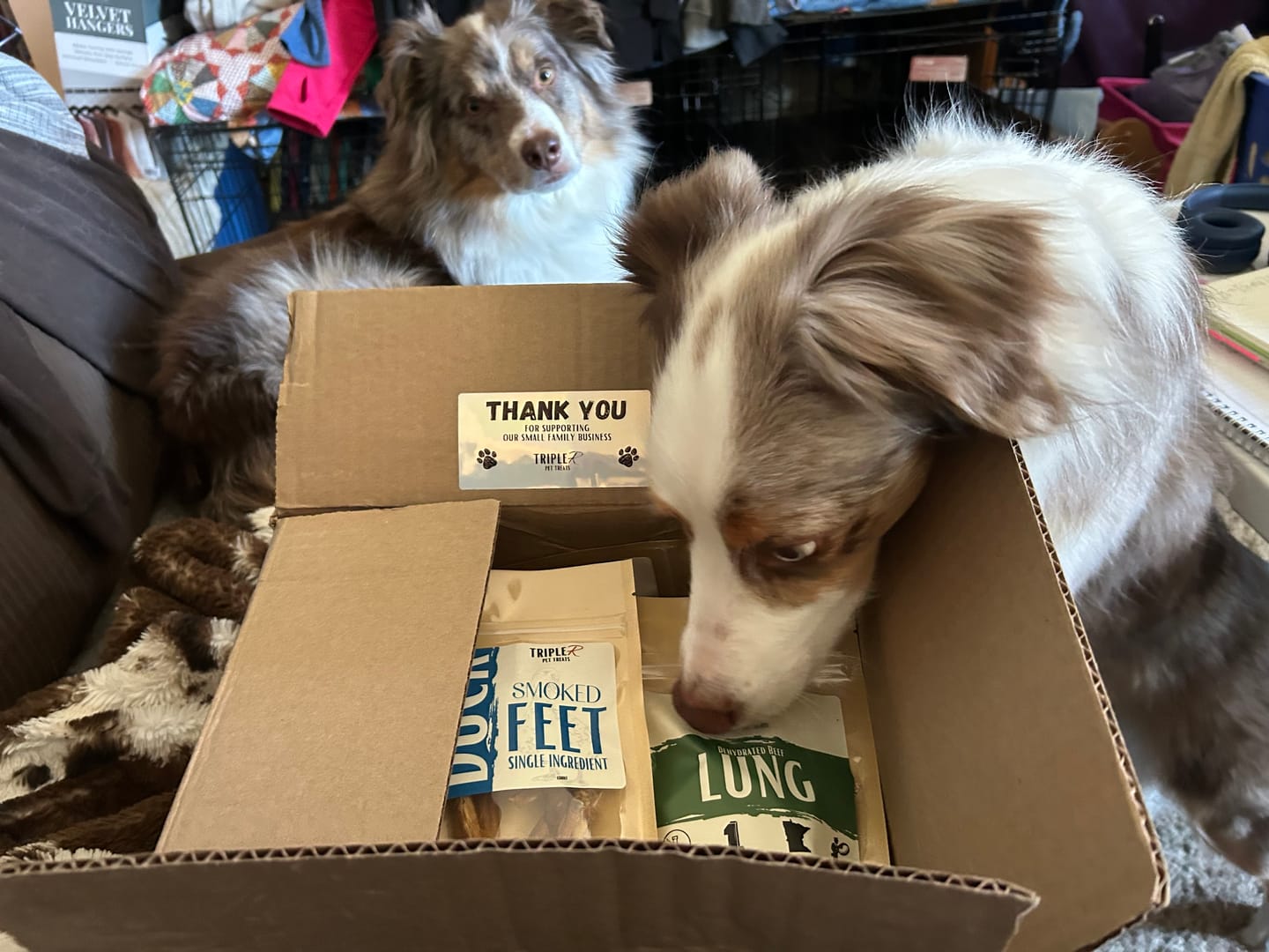 Customer photo review of Dehydrated Beef Lung