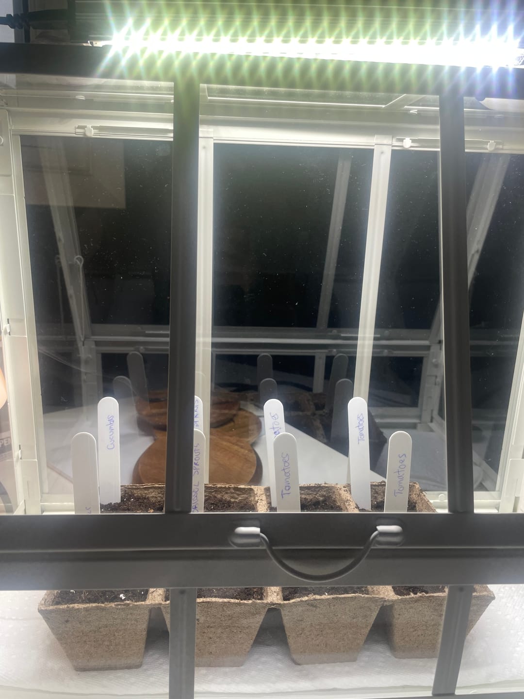 Customer photo review of Sunblaster LED High Output 6400K watt strip lights