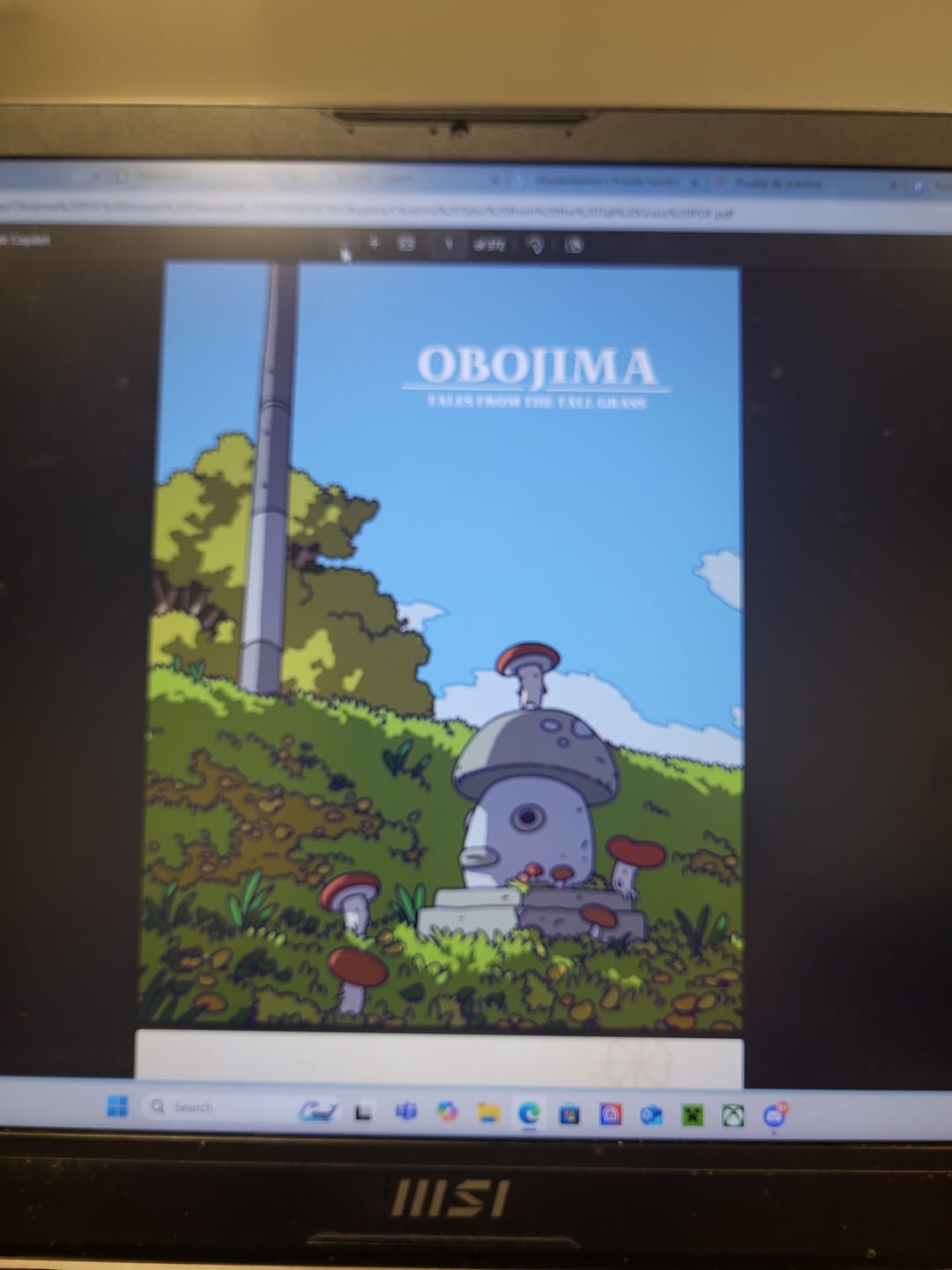 Customer photo review of Obojima PDF (Instant Download)