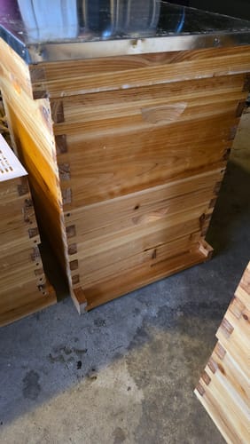 Customer photo review of MayBee Hives 10 Frame 4 Layer Beeswax Coated Langstroth Beehive Includes 2 Deep Brood Boxes and 2 Medium Super Boxes Hive with Wooden Frames and Beeswax Plastic Foundation(NO LOGO)