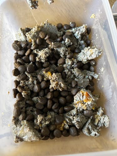 Customer photo review of Eden Original Cuisine - Dog Food