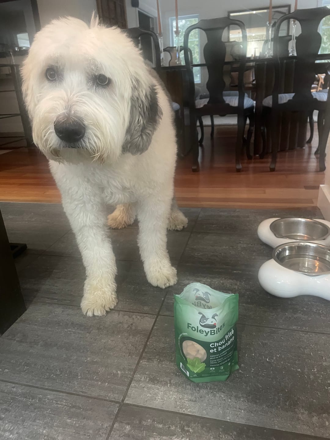 Customer photo review of FoleyBites - 7 Pack Bundle