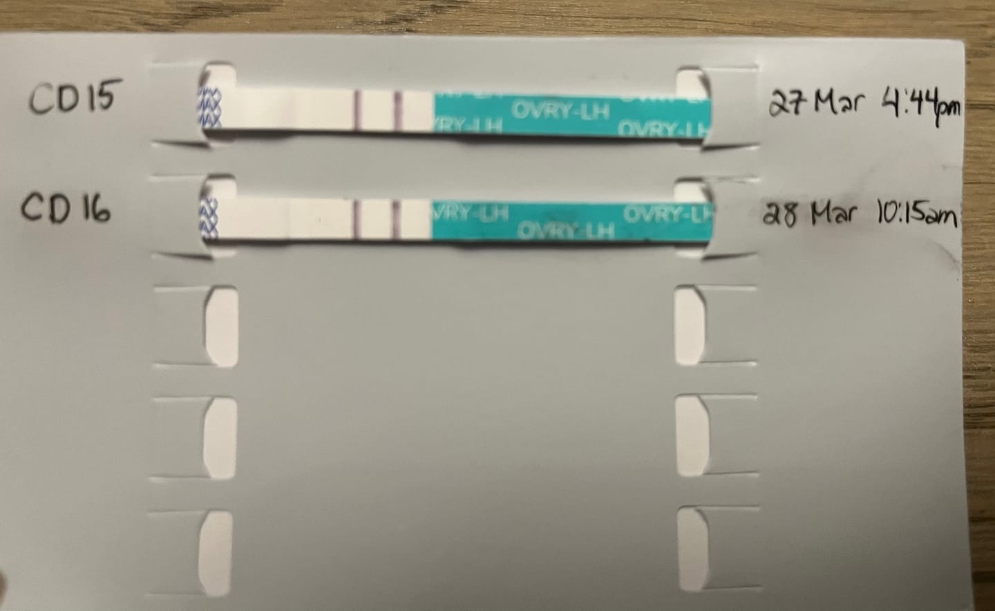 Customer photo review of Ovulation Test Strips