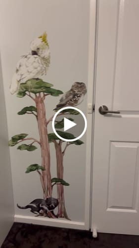 Customer video review of Australian Animals Wall Stickers - Pick Your Own 7 Animals!