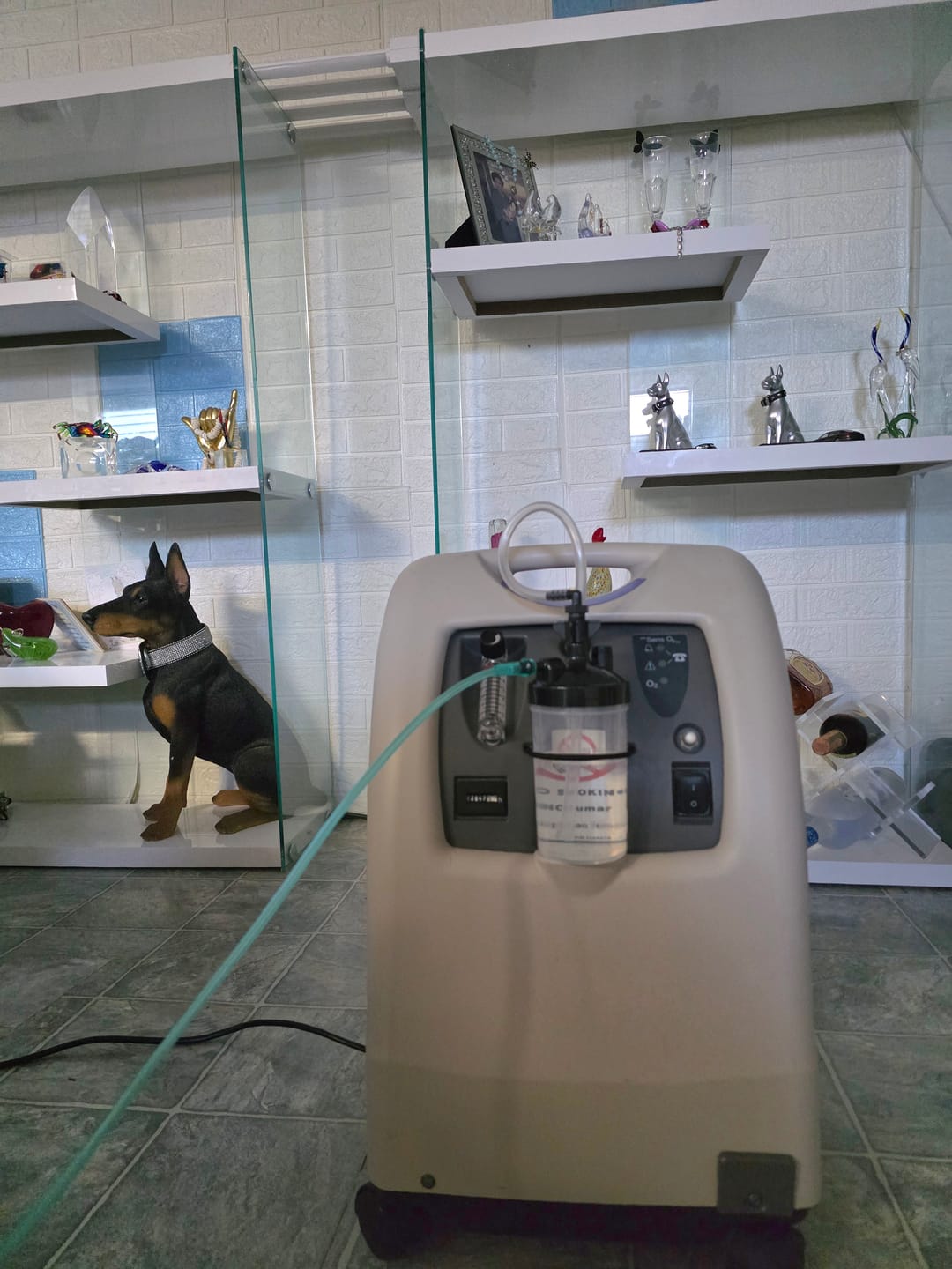 Customer photo review of Invacare Perfecto2 Oxygen Concentrator - Certified Pre-Owned