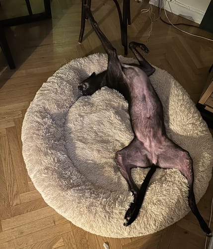 Customer photo review of CalmBed överdrag