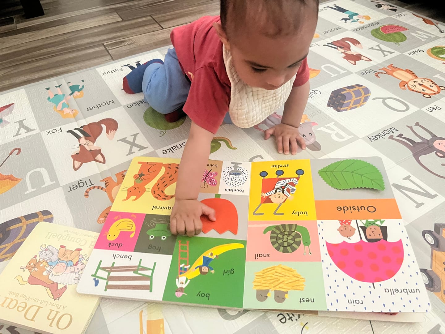Customer photo review of Little Book League Box