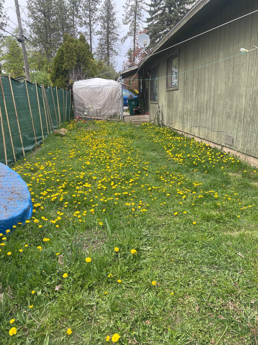 Customer photo review of Green Privacy Screen Fence – 6′ x 50′