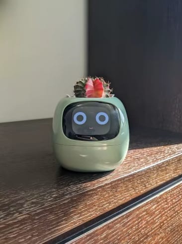 Customer photo review of Plantello™ – The Smart AI Plant Companion