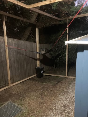 Customer photo review of Hammock For The Cat Cabana Cat Enclosure