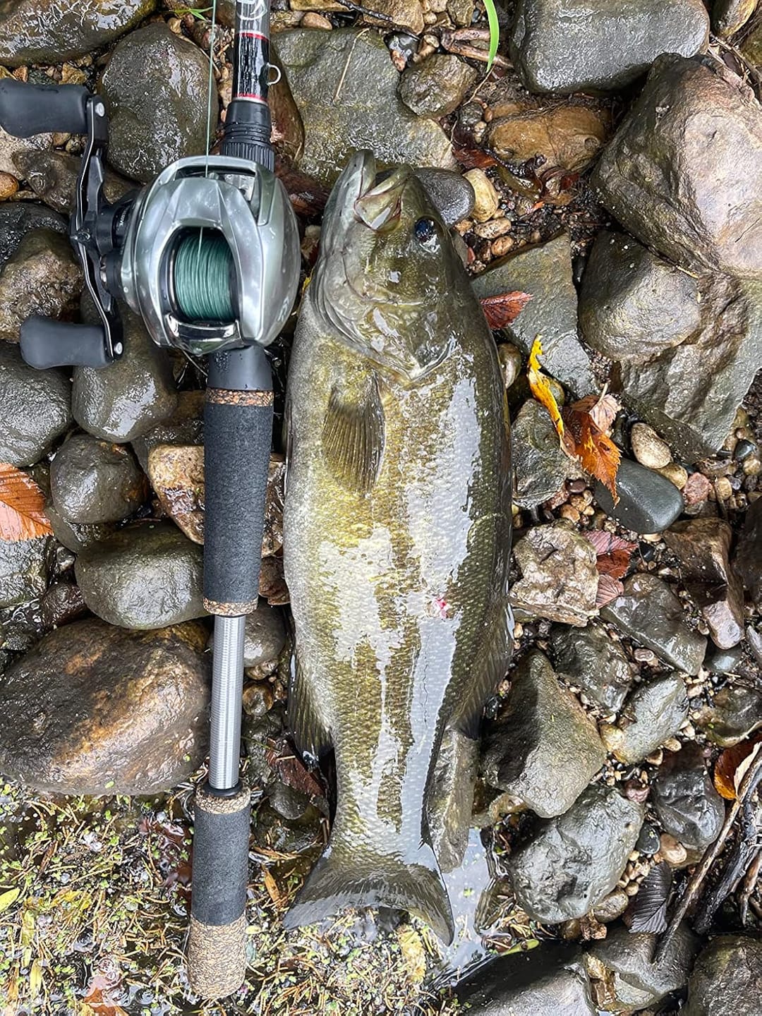Customer photo review of TRUSCEND PoPobait with BKK Hooks, Top Water Whopper Plopper Fishing Lures for Bass Walleye Pike Catfish, Floating Lure for Freshwater or Saltwater Amazing Lures Fishing Gifts for Family Fishing [WM]