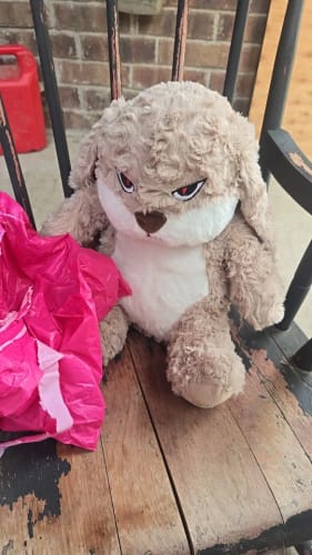 Customer photo review of Large Angry Rabbit Plush Toy