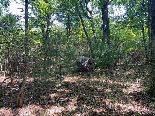 Customer photo review of VisX/VisMax See Through Hunting Blind and 360° Swivel Adjustable Height Hunting Chair Bundle
