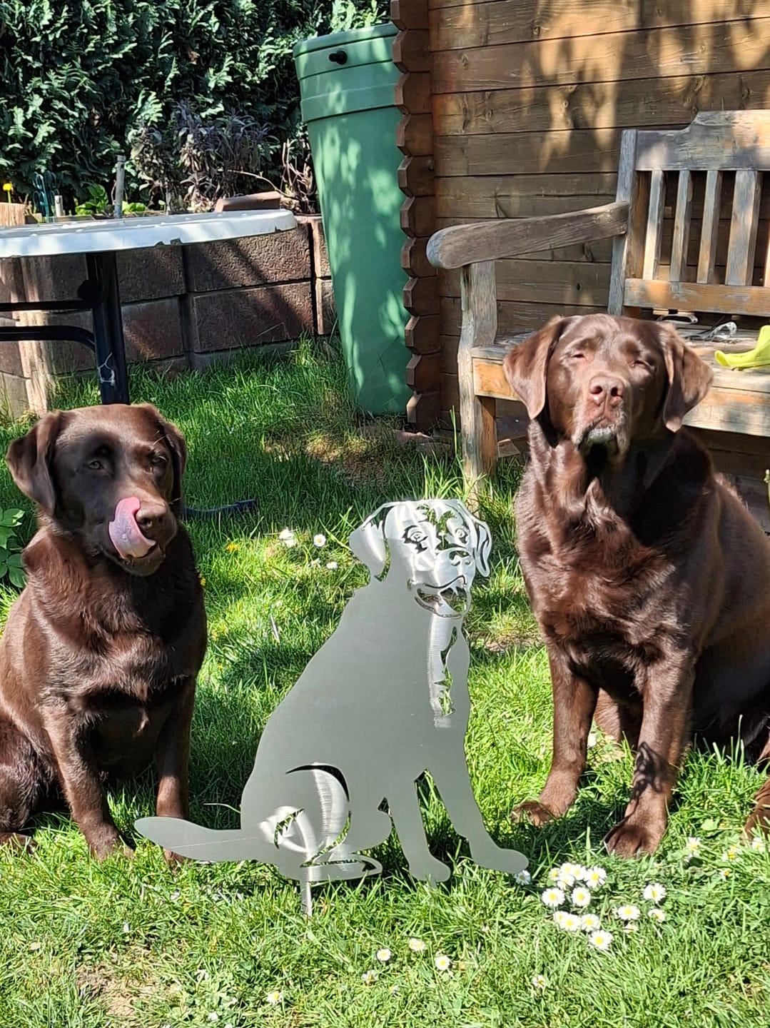 Customer photo review of Gartenstecker Labrador sitzend