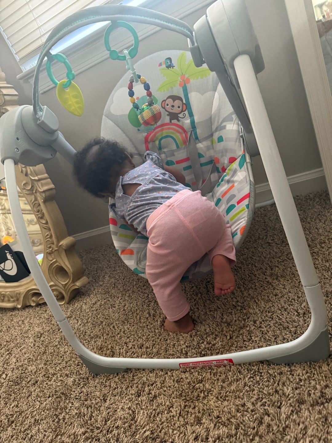 Customer photo review of Go-Go Buddies Travel & Trial Kit