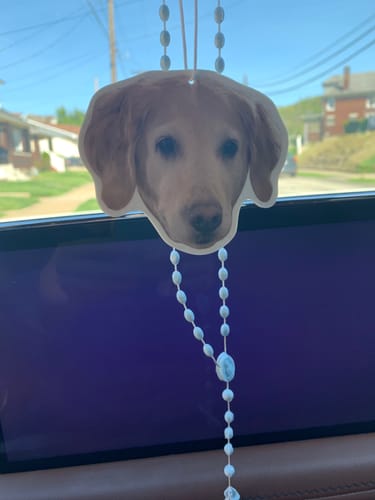 undefined review of Custom Air Freshener image 1 out of 1