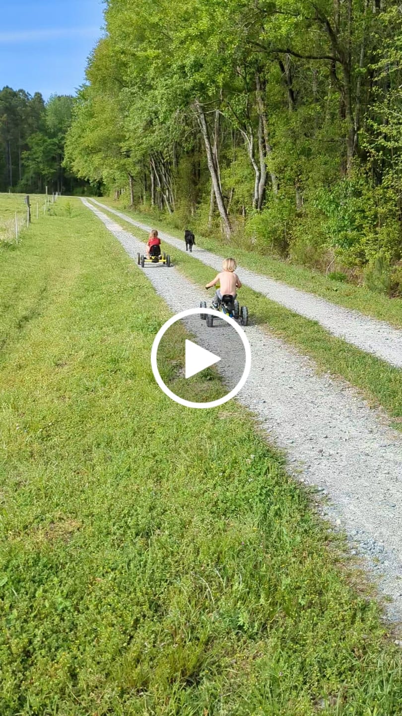 Customer video review of BERG Buddy
