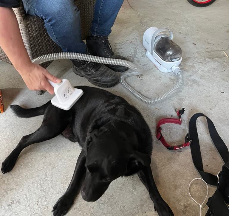 Customer photo review of PaWz GroomMate Pet Grooming Kit