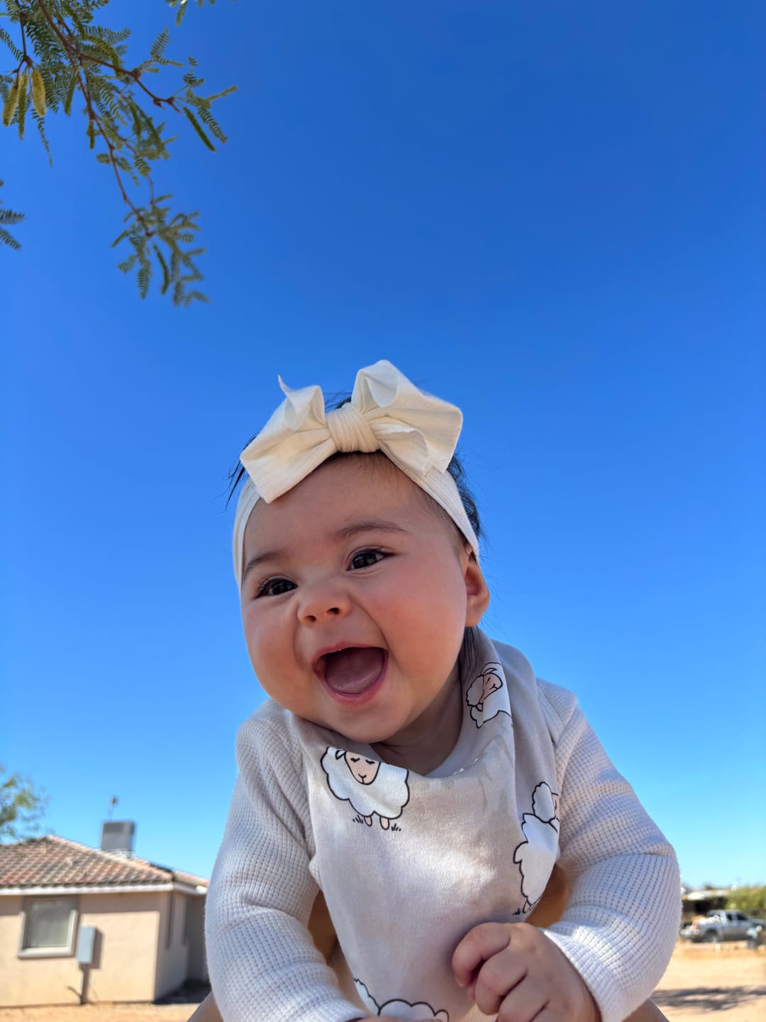 Customer photo review of Bandana Bib Set, Merino Wool & Organic Cotton, Set of 2, Sheep