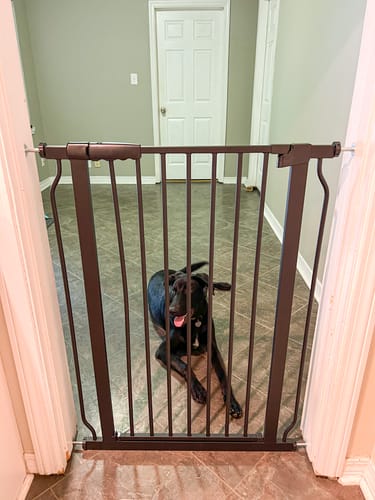 Customer photo review of FairyBaby 40" Extra Tall Auto Close Big Dog Gate