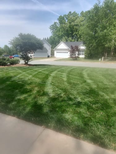 Customer photo review of OII-YS Natural Adjuvant