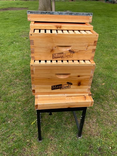 Customer photo review of Worry-Free Purchase