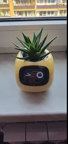Customer photo review of Plantello™ – The Smart AI Plant Companion