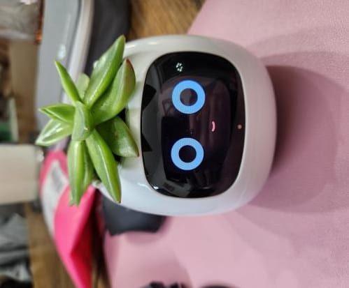 Customer photo review of Plantello™ – The Smart AI Plant Companion