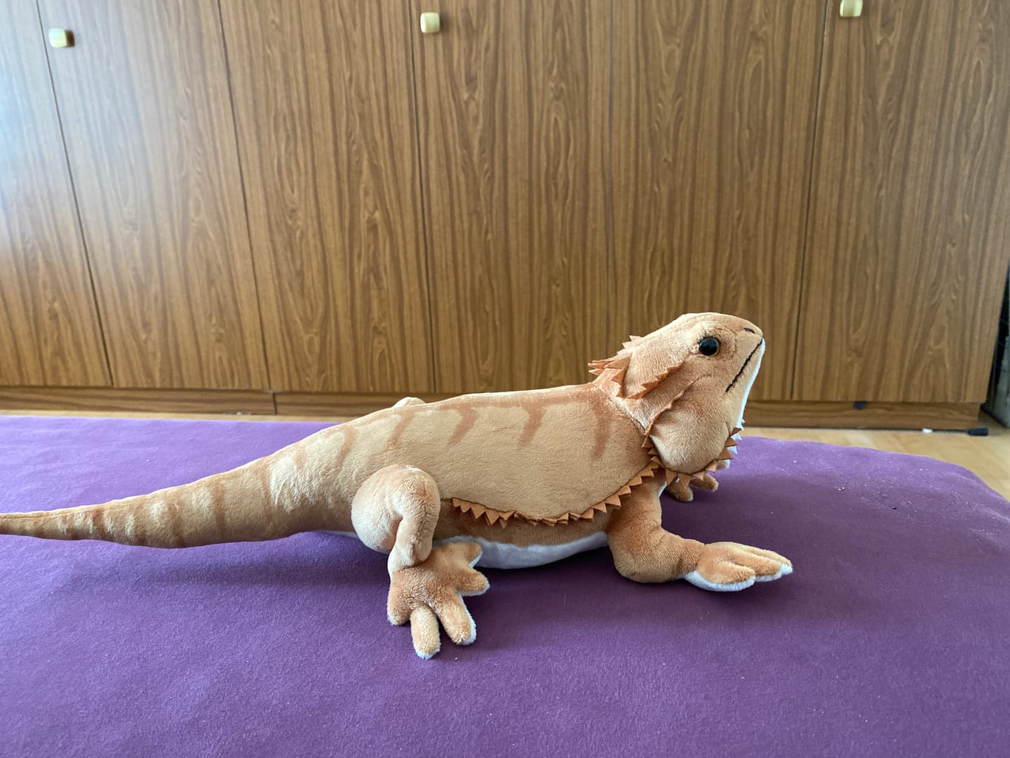 Customer photo review of Bearded Dragon Lizard Soft Stuffed Plush Toy