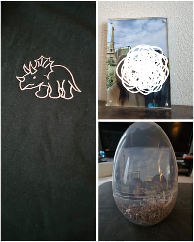 Customer photo review of Custom Embroidered Cute Dinosaur Matching Hoodies for Couples