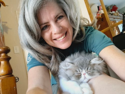 Customer photo review of Joico Blonde Violet Joi Shampoo & Conditioner Gift Set Duo